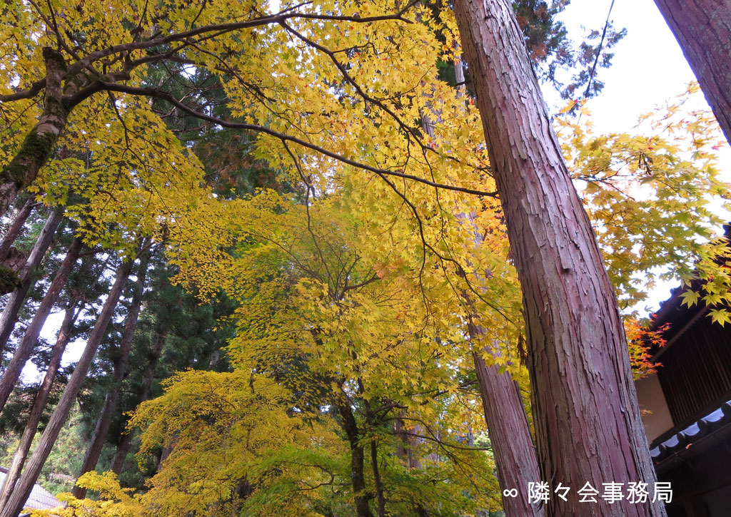 ∞　於：　絲原記念館