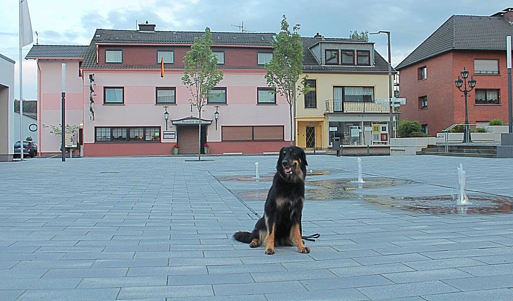 und erreicht alsbald Buchholz City