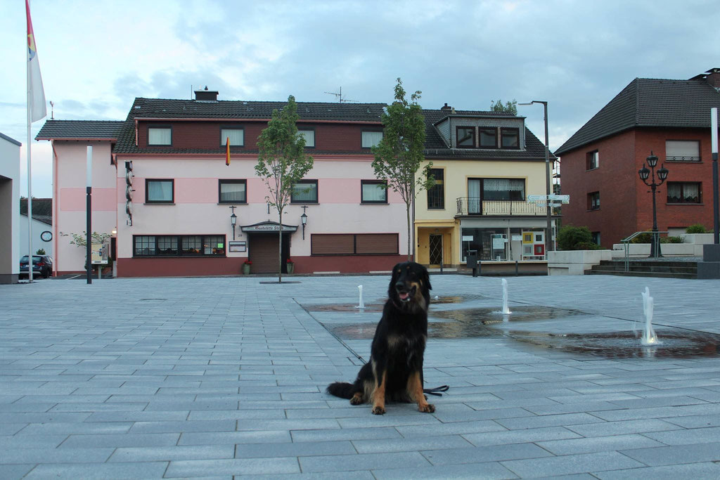 und erreicht alsbald Buchholz City