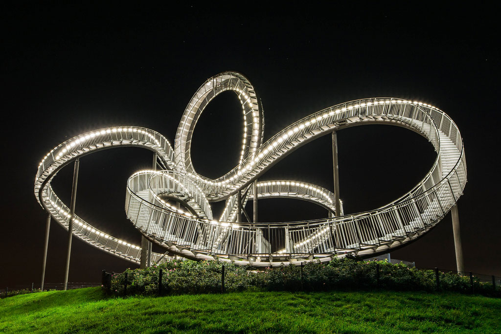 Tiger & Turtle