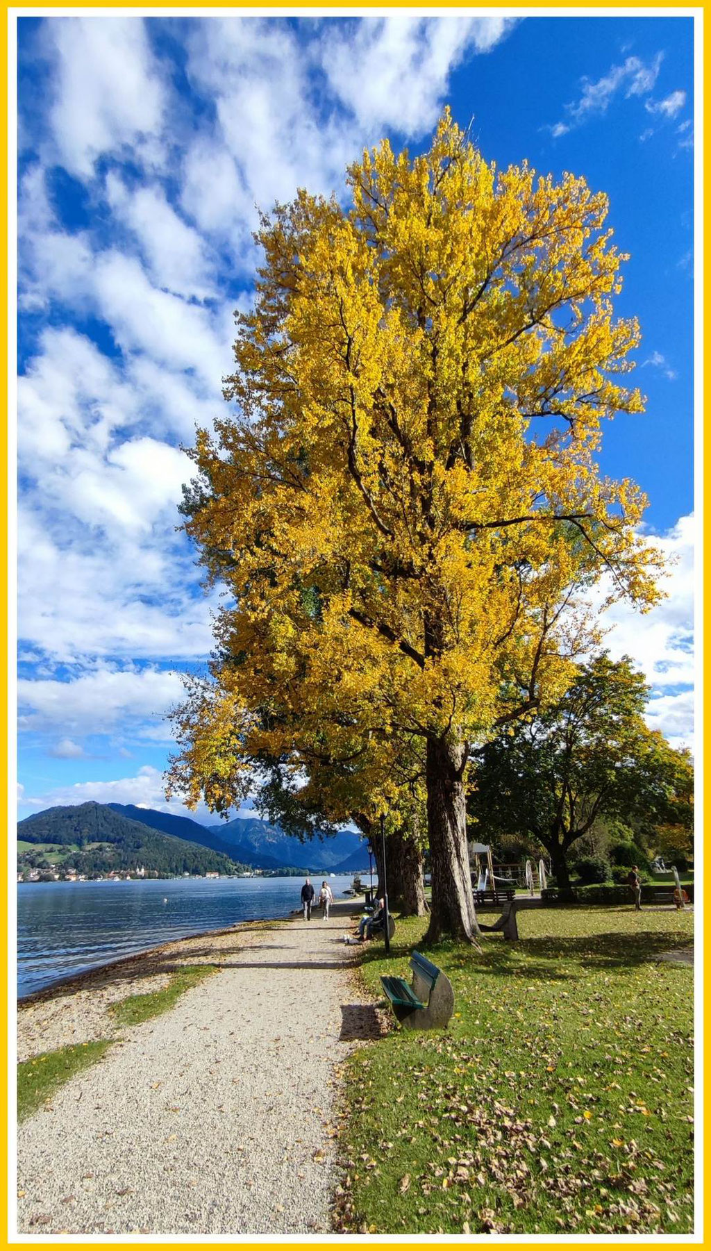 Foto Frank Röwer