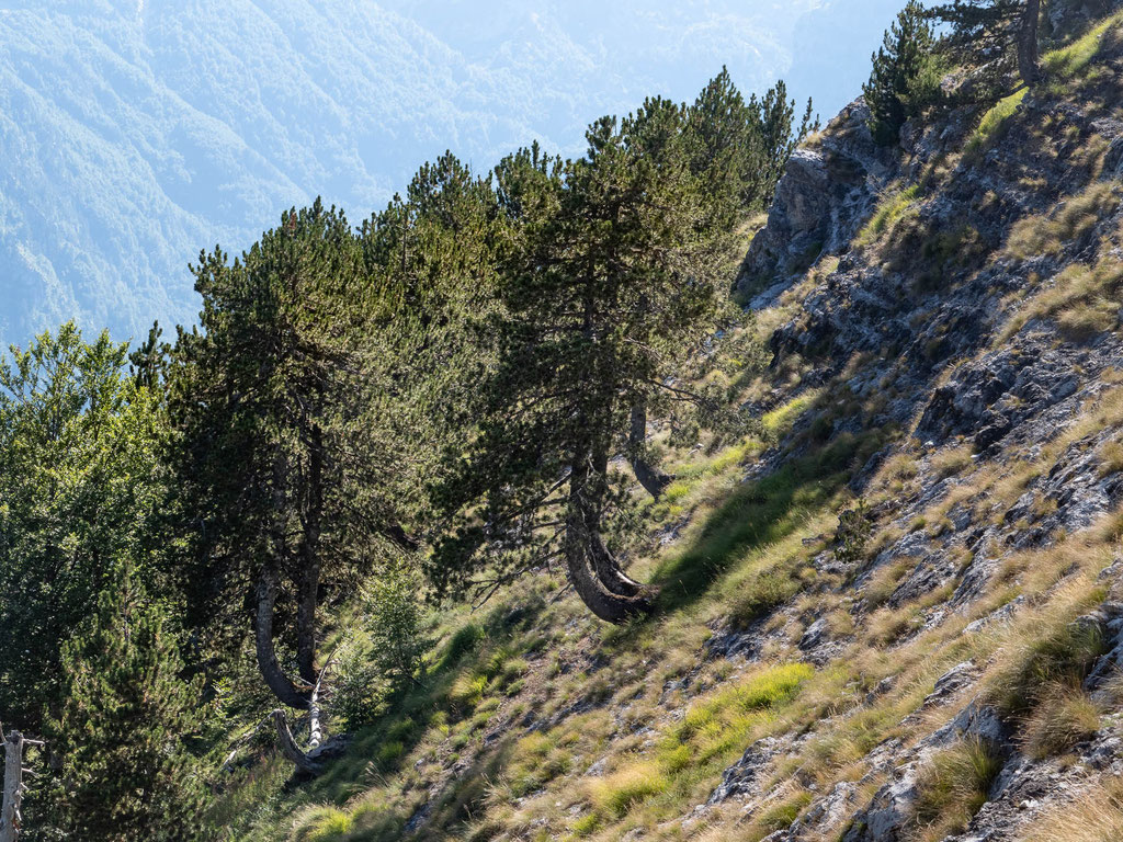 Ulrike Wizisk: Nationalpark Theth, Albanien 