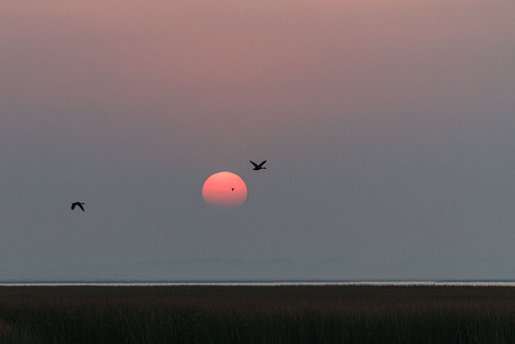 Abendstimmung im Great Rann of Kutch, Gujarat, Indien