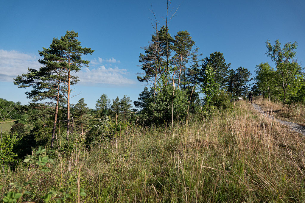 Foto Ulrike Wizisk