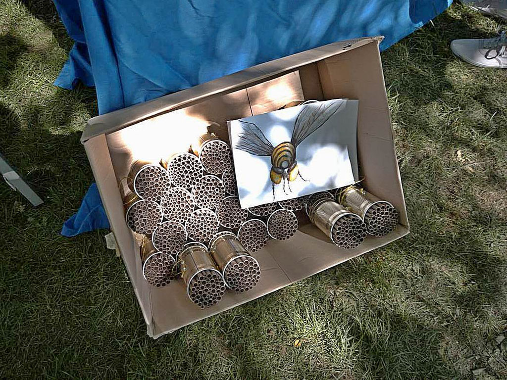 Besucher konnten sich Dosen mit Brutröhren für Wildbienen für ihren Garten mitnehmen. - Foto Ulrike Wizisk