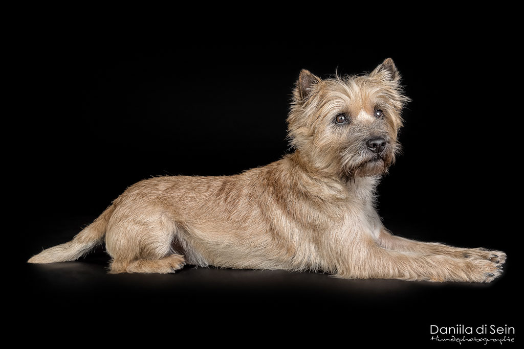 Exifs: f9. 1/160. ISO160. 42mm