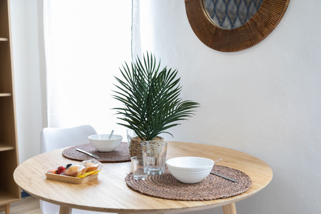 Photo immobilière, immobilier, drone, visite virtuelle, Agen, Lot et Garonne, Aquitaine