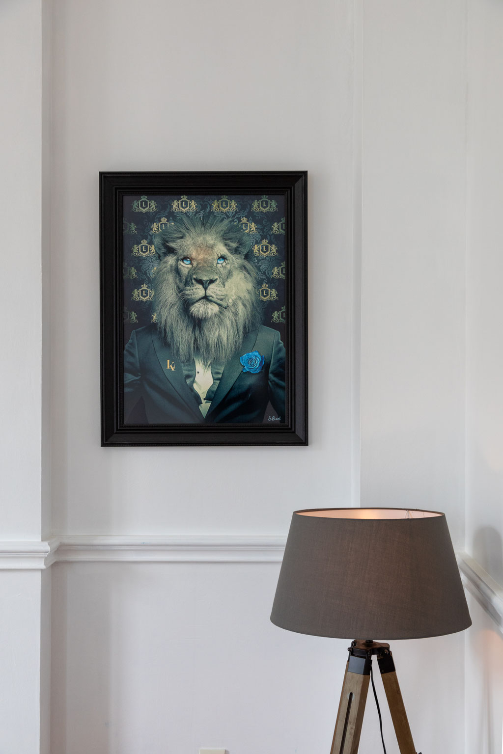 Photo immobilière, immobilier, drone, visite virtuelle, Agen, Lot et Garonne, Aquitaine