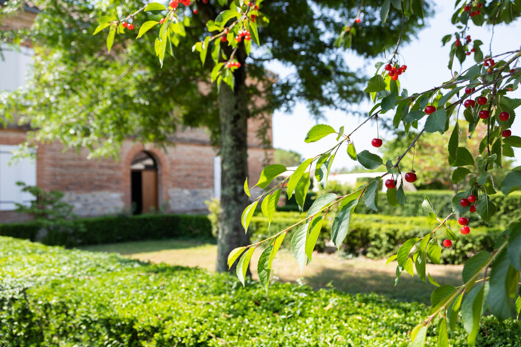 Photo immobilière, immobilier, drone, visite virtuelle, Agen, Lot et Garonne, Aquitaine