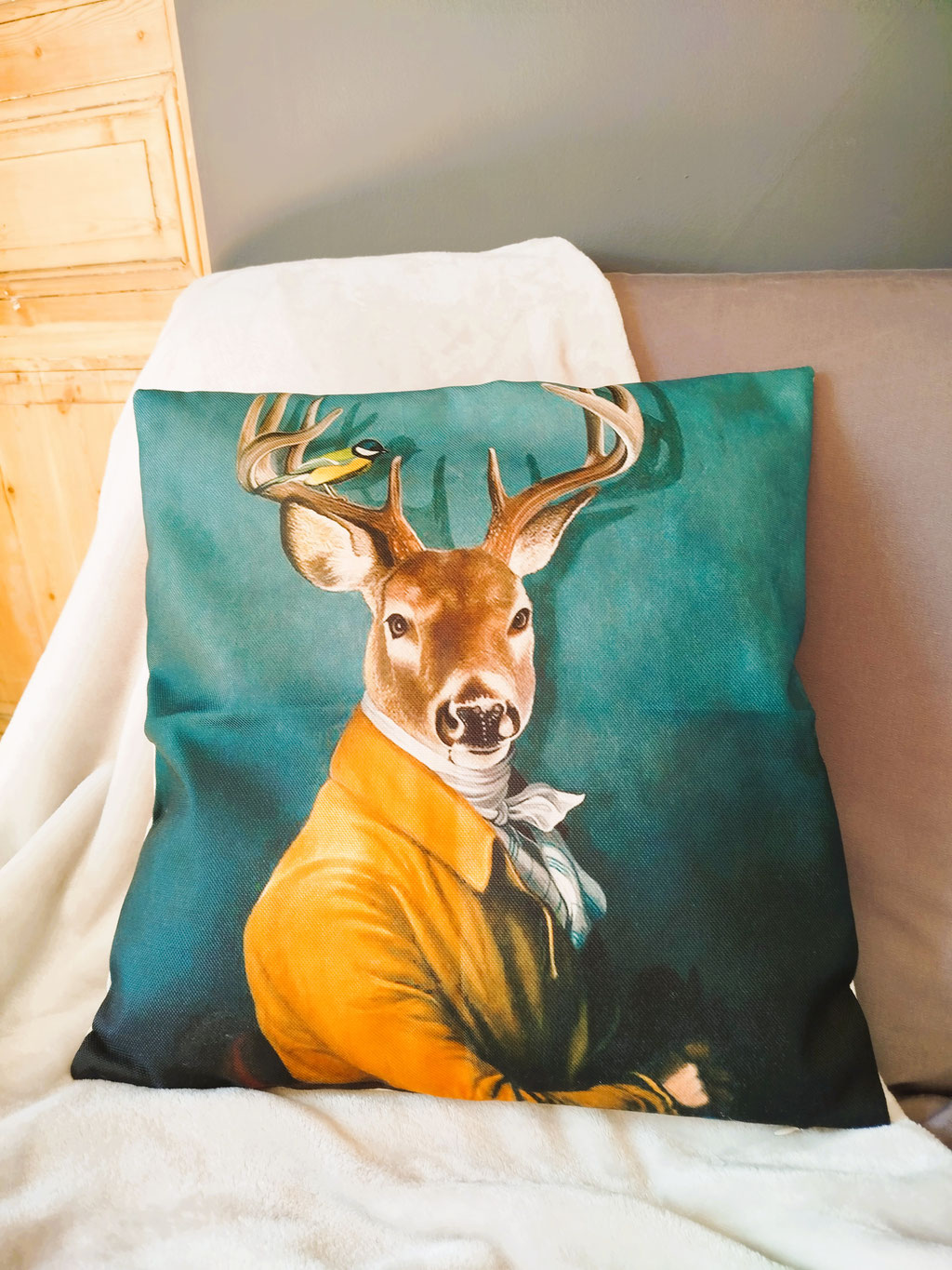 Coin salon cosy de notre chambre d’hôtes familiale près de Senlis : un canapé confortable avec coussin déco, parfait pour se détendre après une journée au Parc Astérix.