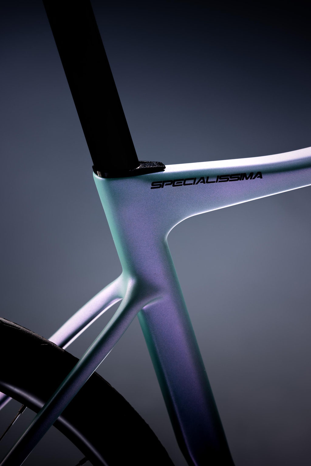 Das neue Specialissima wird ab Ende September 2023 erhältlich sein. ©Bianchi