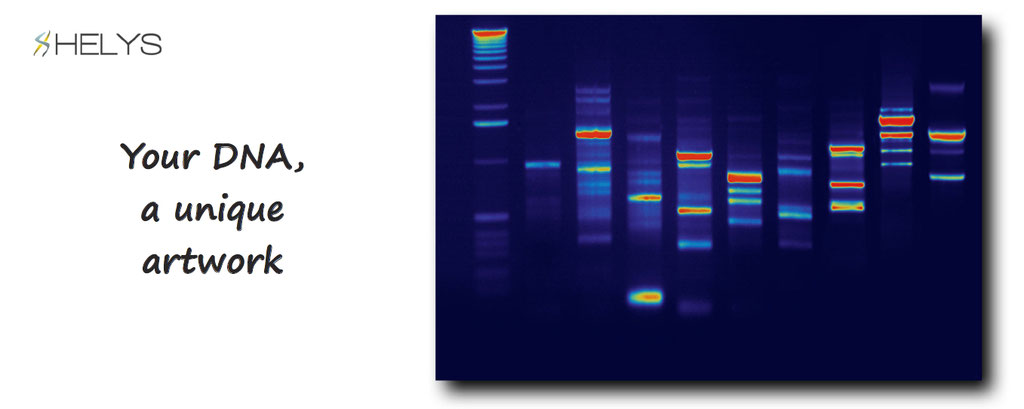 helys, make a DNA become a unique artwork, personalize and customize your DNA and finger print into an incredible work of art, paint, artwork