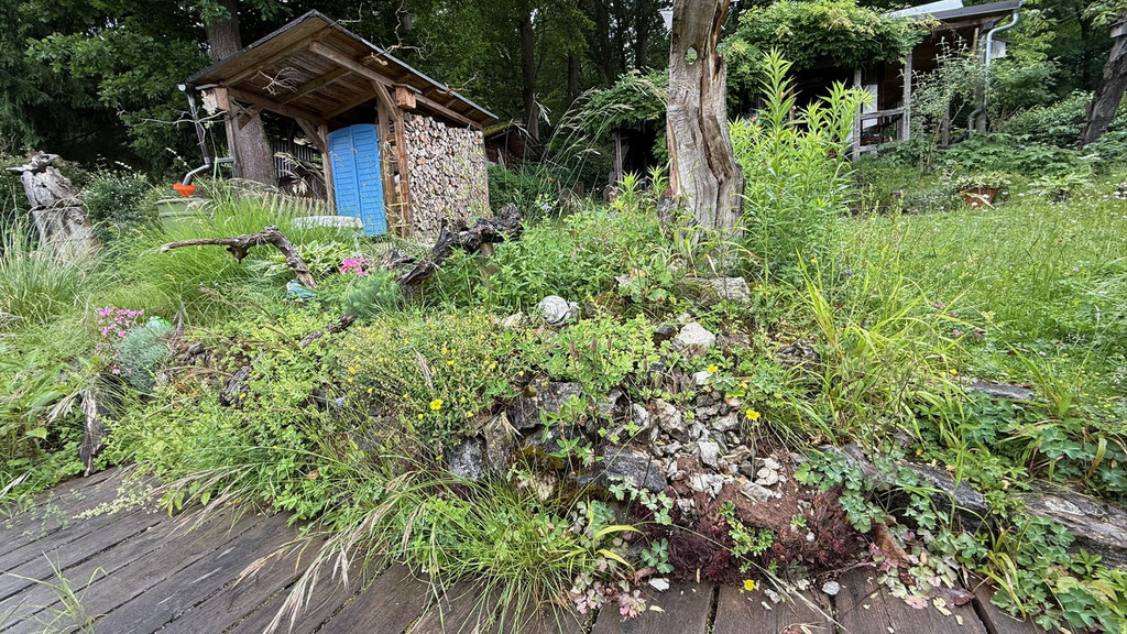 Ein Naturnaher Garten lockt viele heimische Insekten an, die wiederum Nahrung für unsere Vogelarten bietet (Foto: Andreas Märtlbauer)