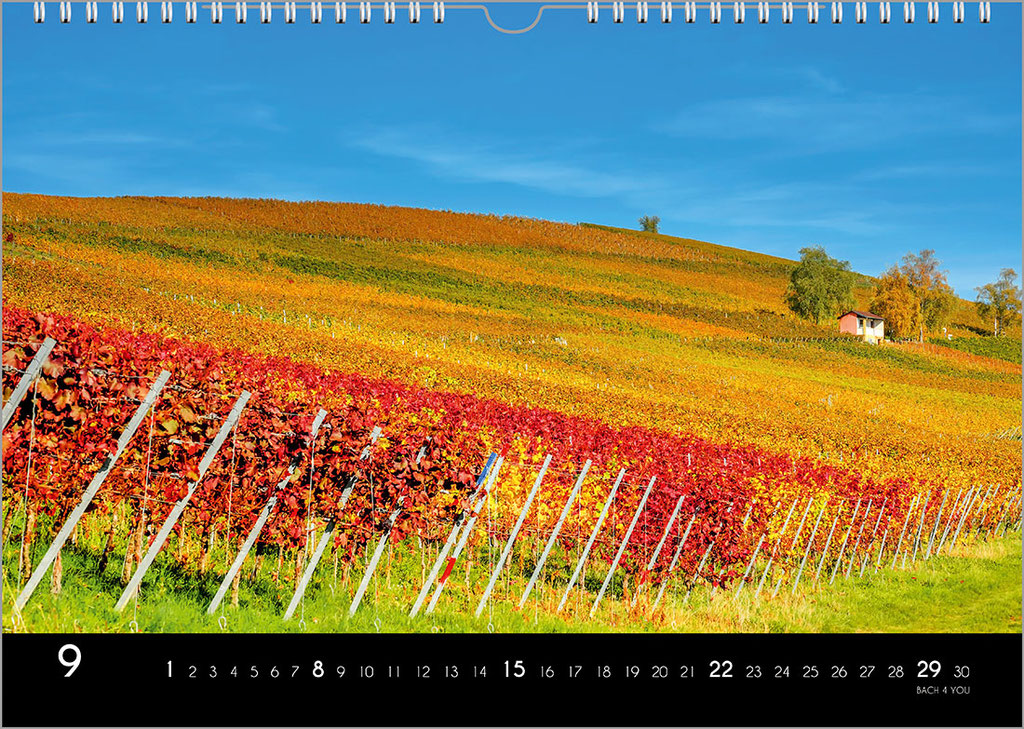 Der Weinkalender.