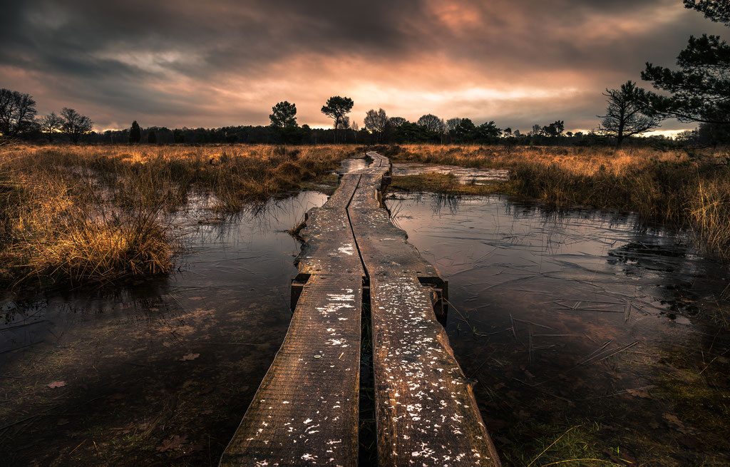 Buurserzand, Martijn van Steenbergen, © 2018