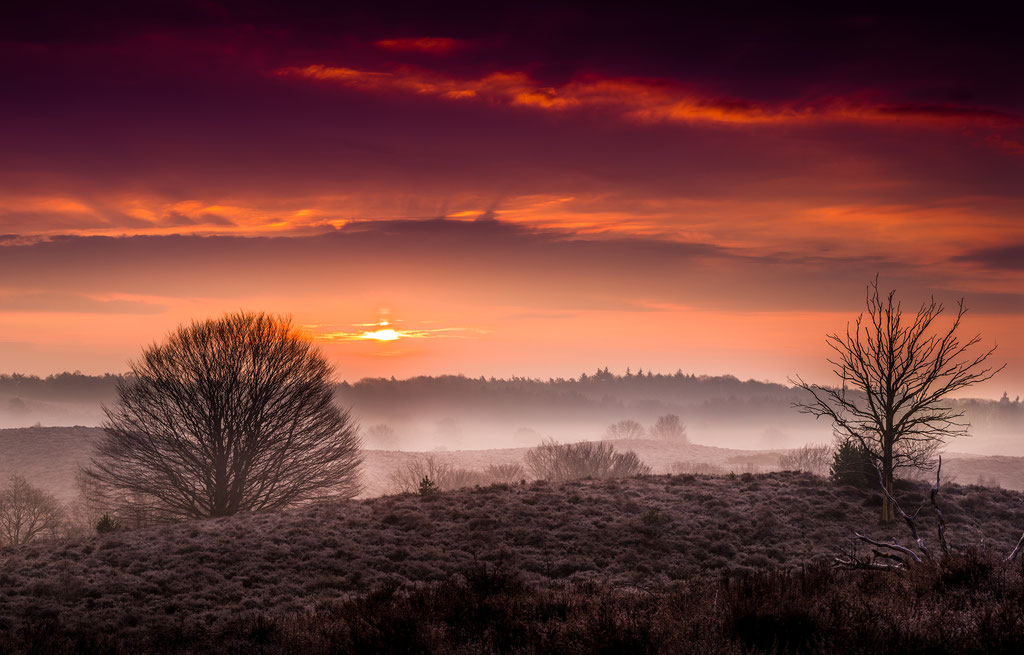 Dutch national park Veluwezoom, Martijn van Steenbergen, © 2018