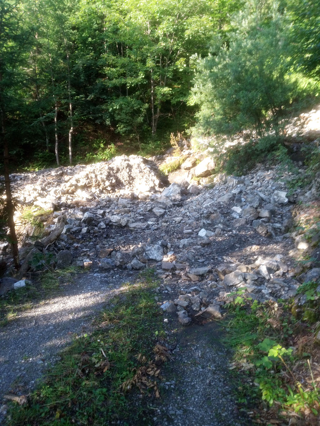 Behebung Unwetterschaden