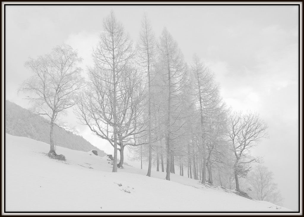 Tirol