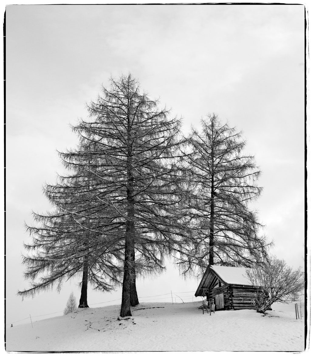 Reith bei Seefeld - Tirol