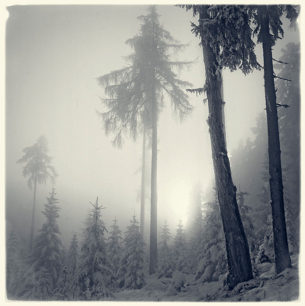 Richtung Largoz - Tirol