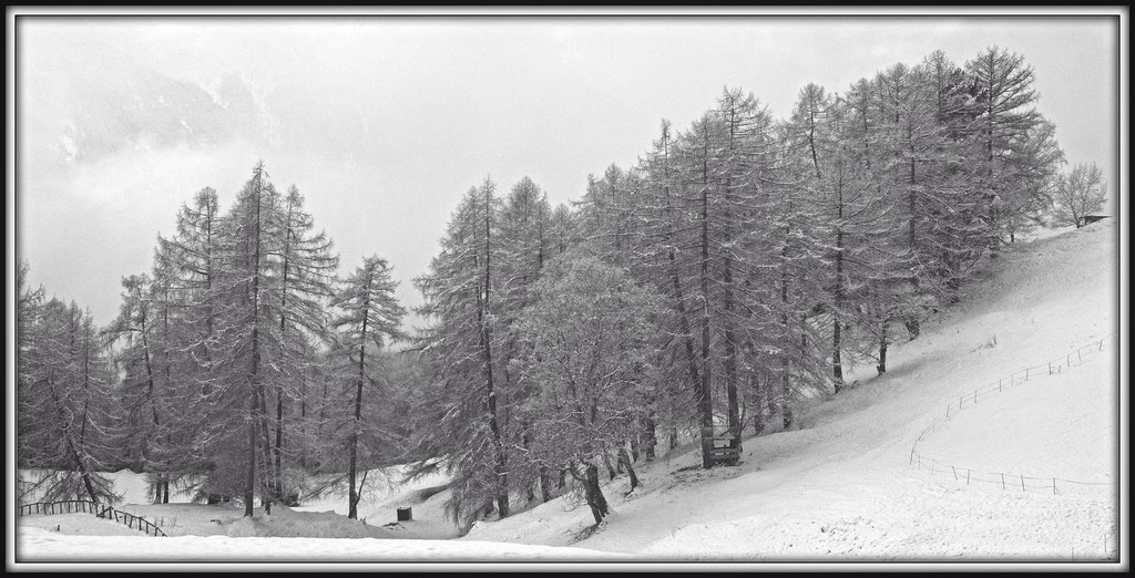 Reith bei Seefeld - Tirol