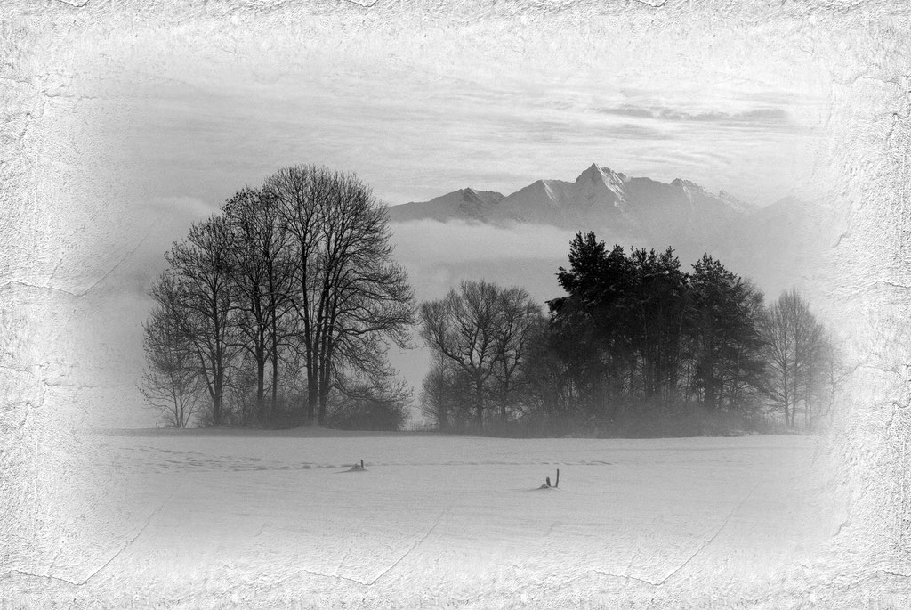 Tirol