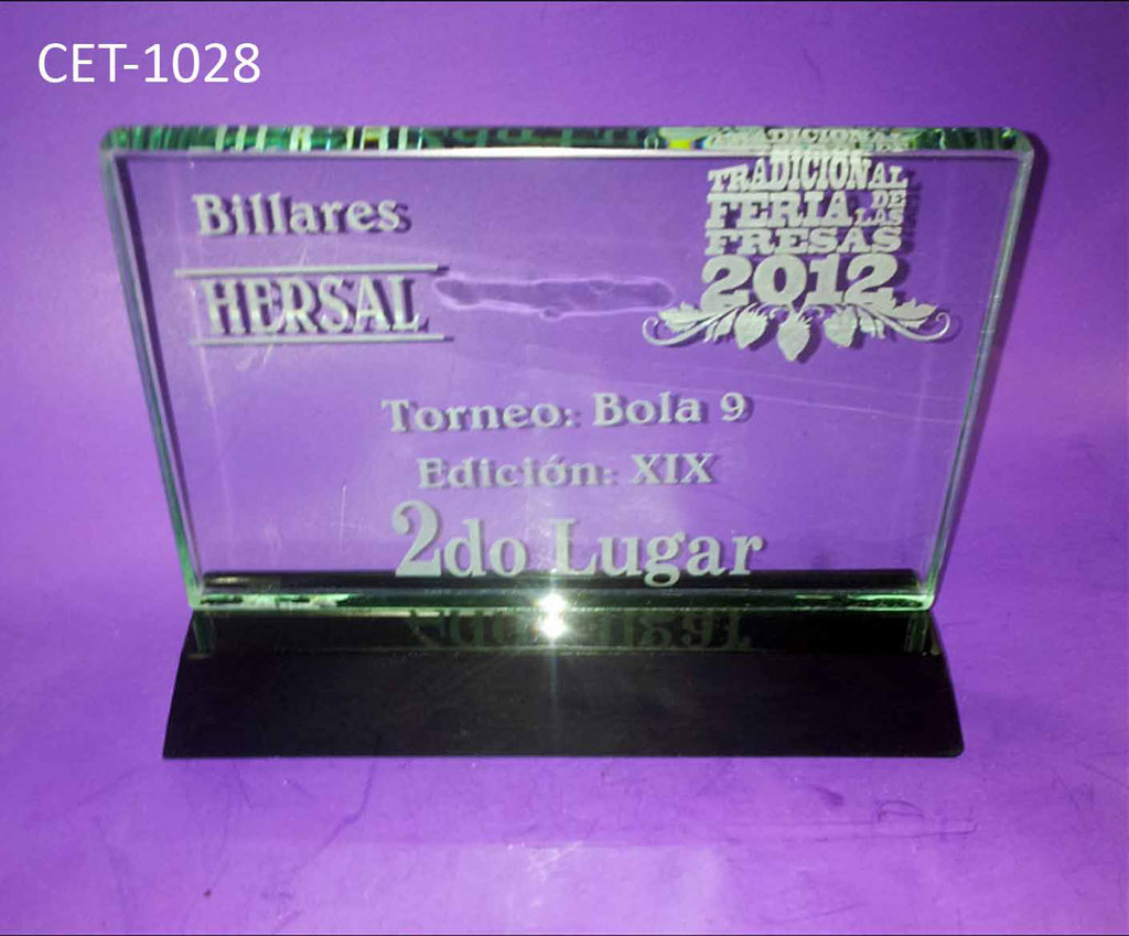Reconocimiento CET 1028