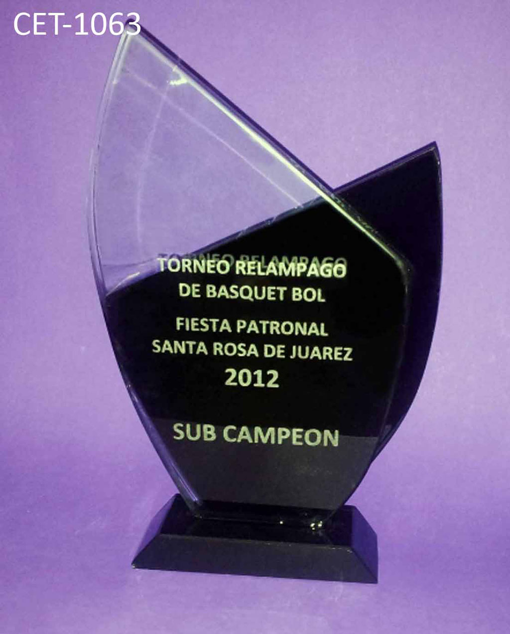 Reconocimiento CET 1063