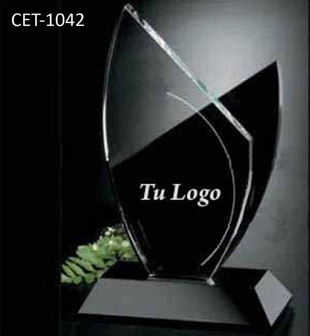 Reconocimiento CET 1042