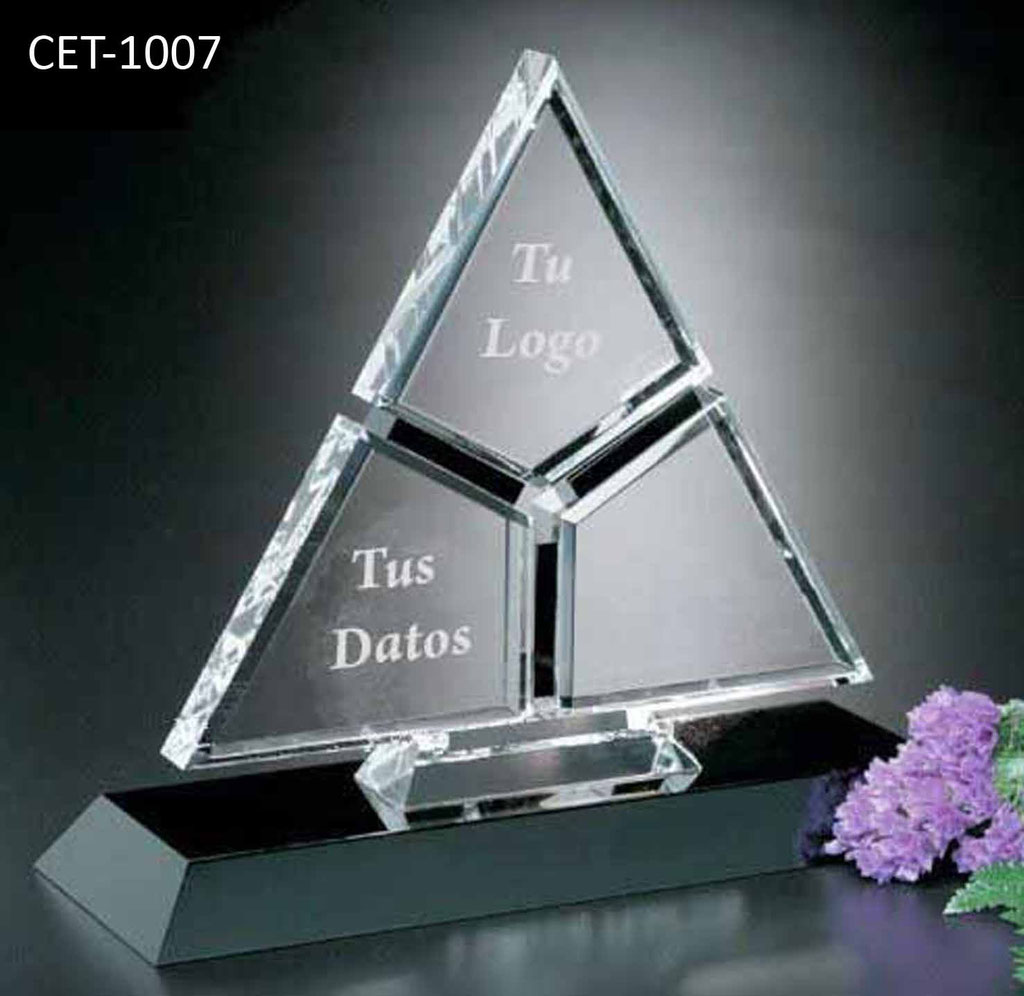 Reconocimiento CET 1007