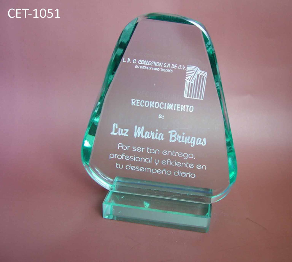 Reconocimiento CET 1051