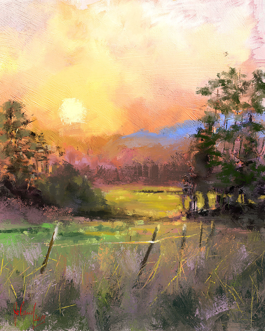 Sommerwiese