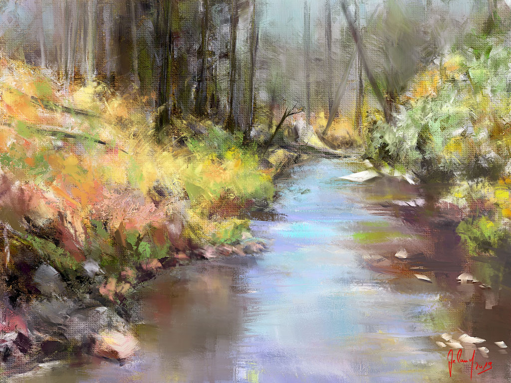 Forest Creek