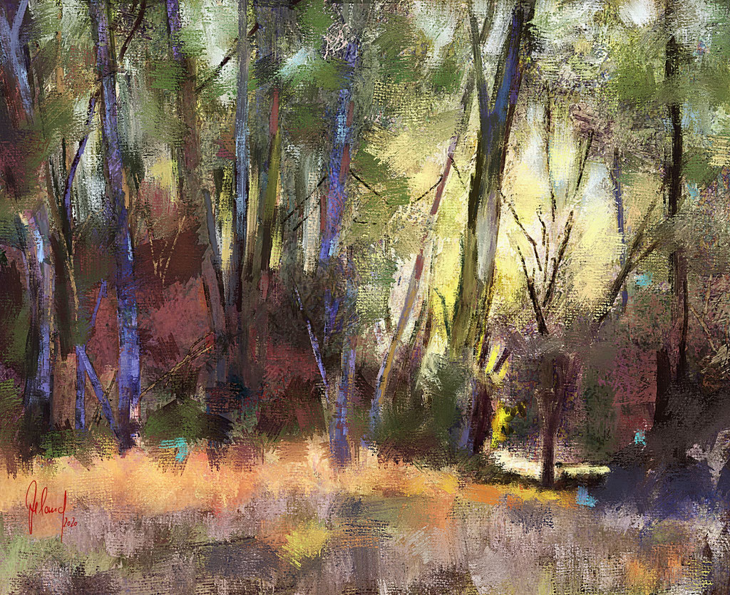 enchanted forest