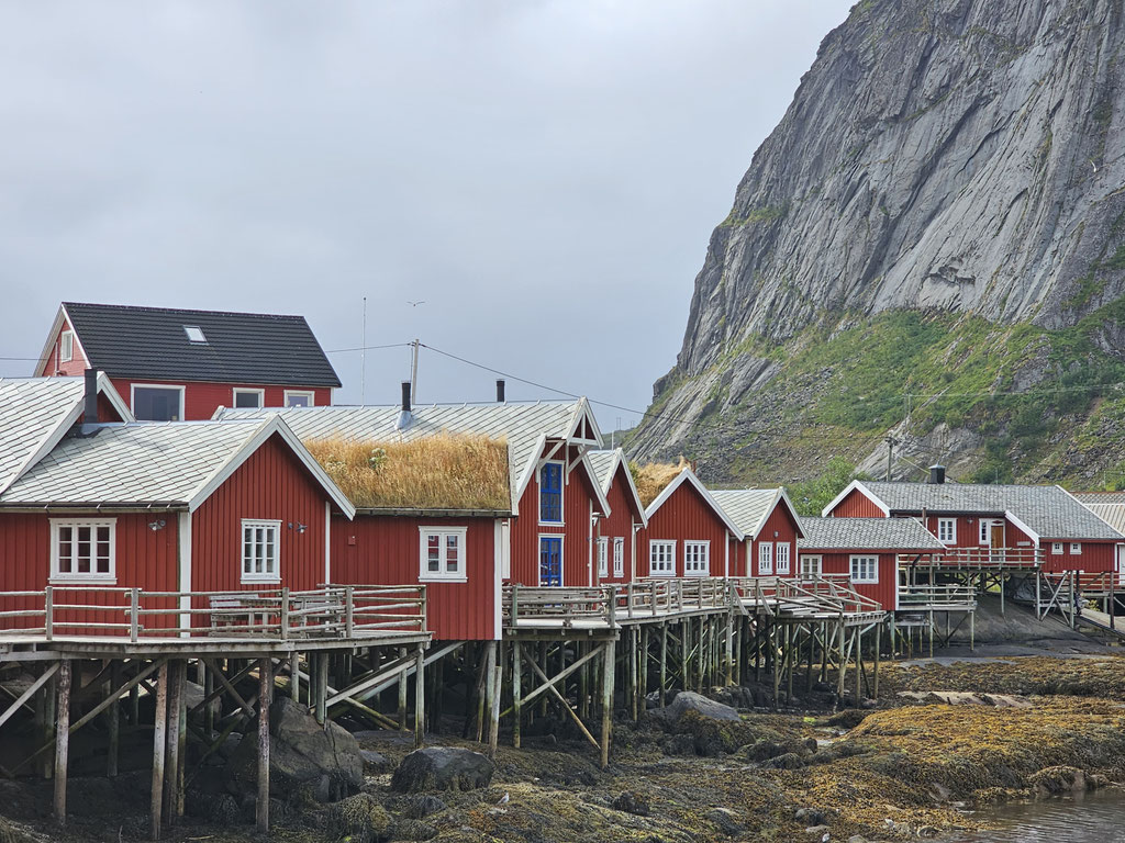 Reine Lofoten Norwegen overland Travel Camping #ProjektBlackwolf Skandinavien wolf78 explore without no limits roadtrip offroad Overlandingnomads Overlandbound wolf78-overland.ch