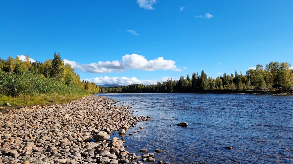 Norwegen overland Travel Camping #ProjektBlackwolf Skandinavien wolf78 explore without no limits roadtrip offroad Overlandingnomads Overlandbound wolf78-overland.ch