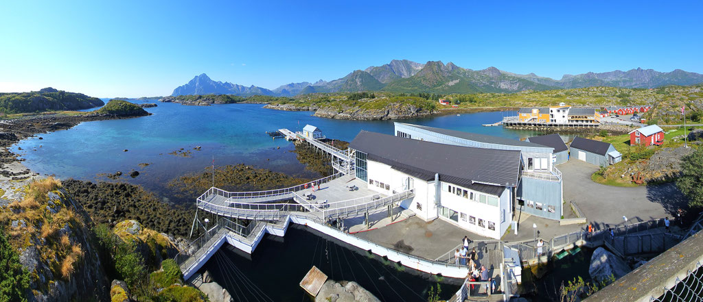 Lofoten Norwegen overland Travel Camping #ProjektBlackwolf Skandinavien wolf78 explore without no limits roadtrip offroad Overlandingnomads Overlandbound wolf78-overland.ch