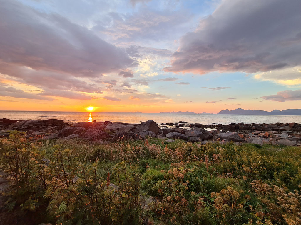 Lofoten Norwegen overland Travel Camping #ProjektBlackwolf Skandinavien wolf78 explore without no limits roadtrip offroad Overlandingnomads Overlandbound wolf78-overland.ch