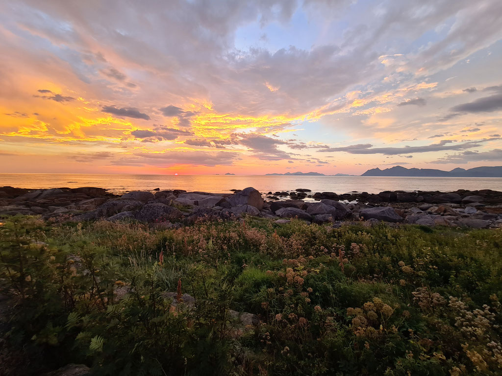 Lofoten Norwegen overland Travel Camping #ProjektBlackwolf Skandinavien wolf78 explore without no limits roadtrip offroad Overlandingnomads Overlandbound wolf78-overland.ch