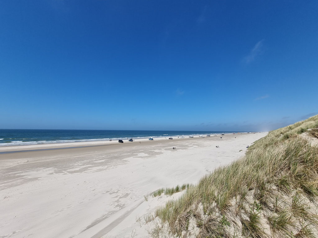 Dänemark Pickup-camper Strand befahrbar Toyota Hilux Arctic Trucks AT33 Skandinavien Wolf78 Overland #DriveYourOwnWay #ProjektBlackwolf explore without no limits offroad Travel Camping 4x4 #BornToRoam Rival4x4 Maxtraxx Globecamper offroad 195