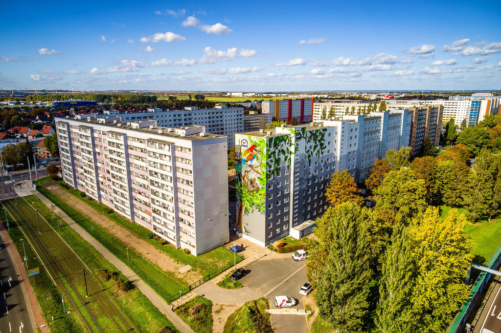 Graffiti Fassadenmalerei Wandgestaltung Hausfassade Magdeburg