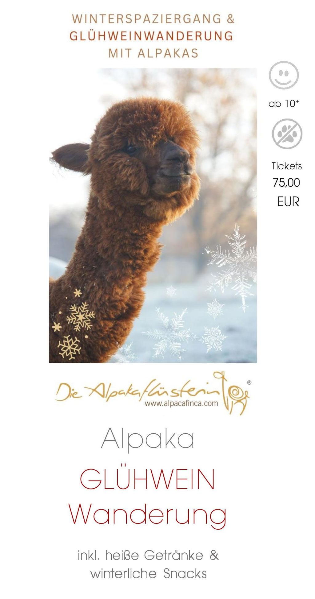 Alpaka Glühwein-Wanderung