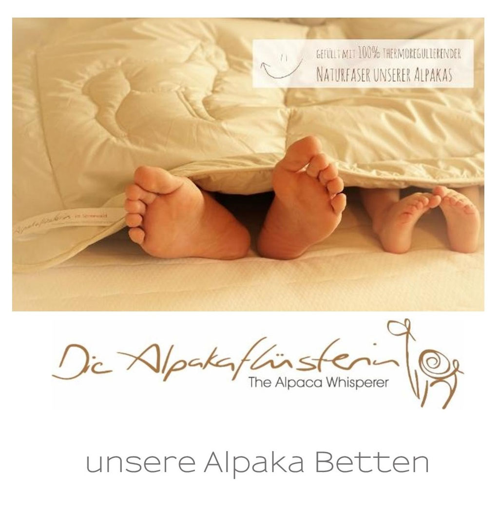 Alpaka Bio Betten, Alpaka Bett, Alpaka Decke, Alpaka Steppbett