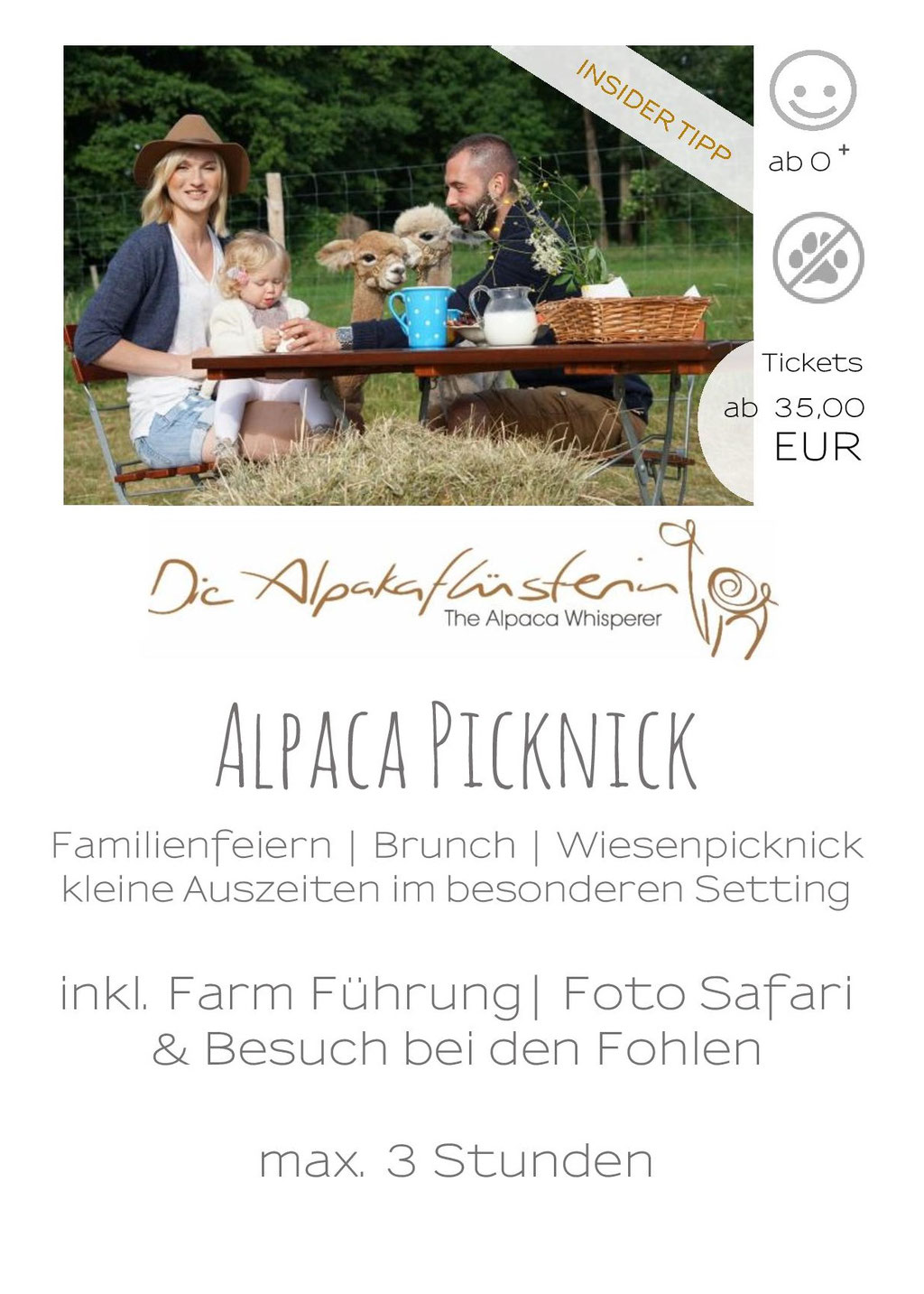 Pickicknick mit Alpakas Spreewald, Alpaka Wanderung, Alpaka Trekking, Alpaka Spaziergang Brandenburg