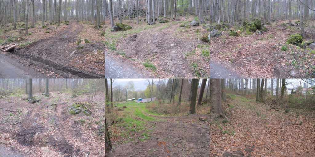 Rückegassen
