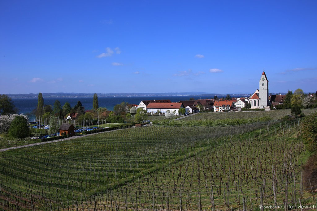 Hagnau am Bodensee