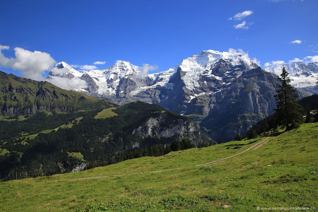 Wanderung von Grütschalp zur Winteregg - Eiger, Mönch und Jungfrau immer im Blick!
