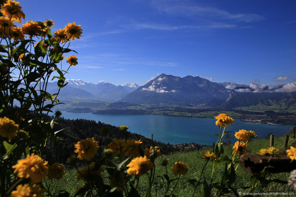 In der Nähe des Restaurants Haltenegg, Sigriswil geniesst man diesen traumhaften Ausblick