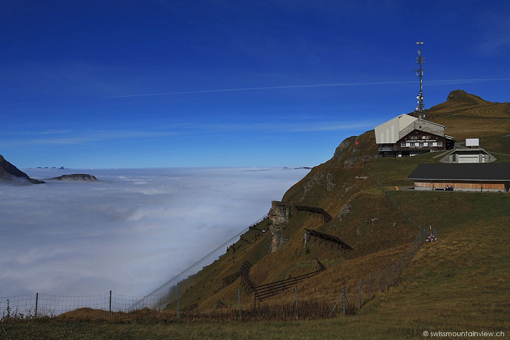 Glück gehabt, dass der Männlichen mit seinen fast 2'300 m aus dem Nebel ragt (wir hatten das sicherheitshalber vorher noch auf der Webcam gecheckt ;).