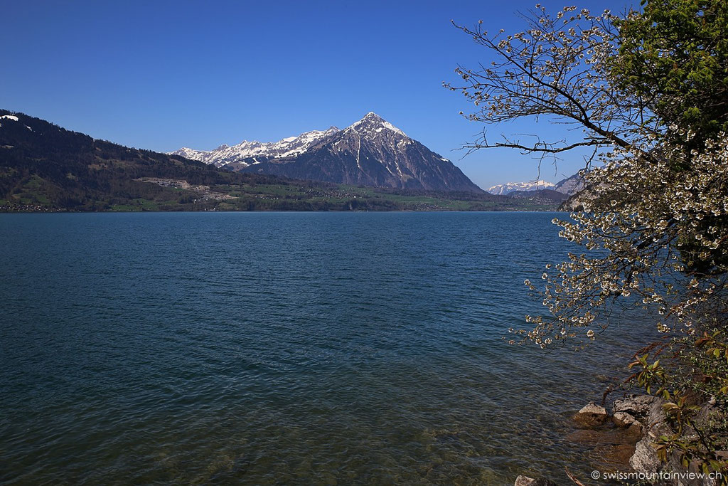 Thunersee bei Neuhaus Interlaken